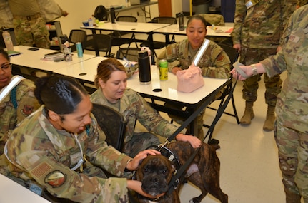 Canine Therapist Visits AMSA Students