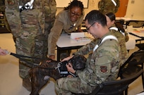 Canine Therapist Visits AMSA Students