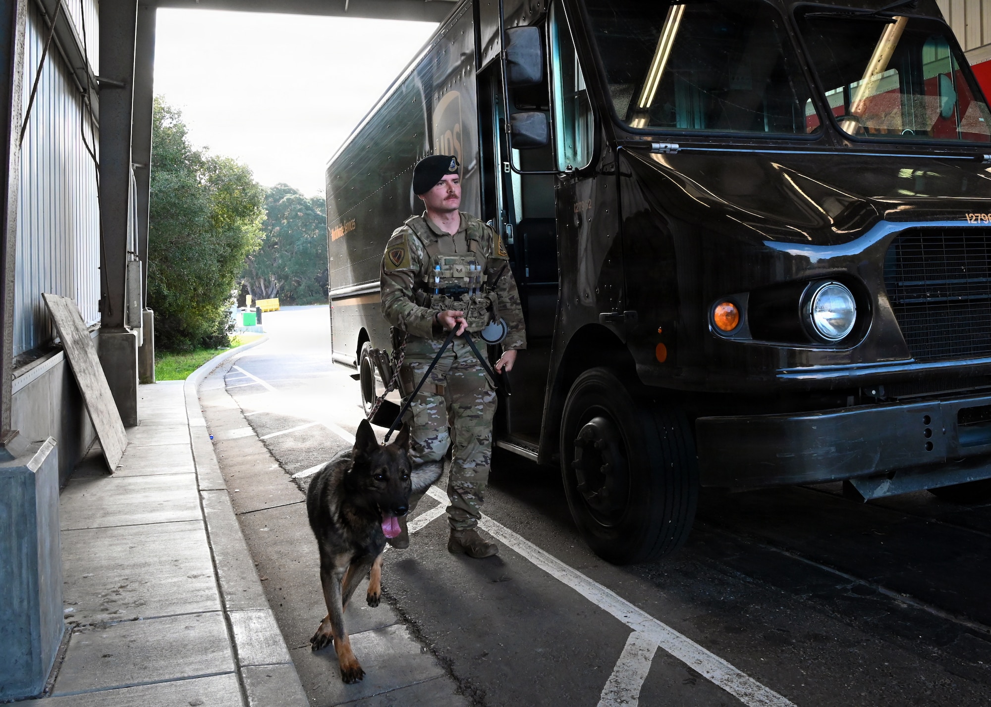 A Day in the Life of a Military Working Dog Team