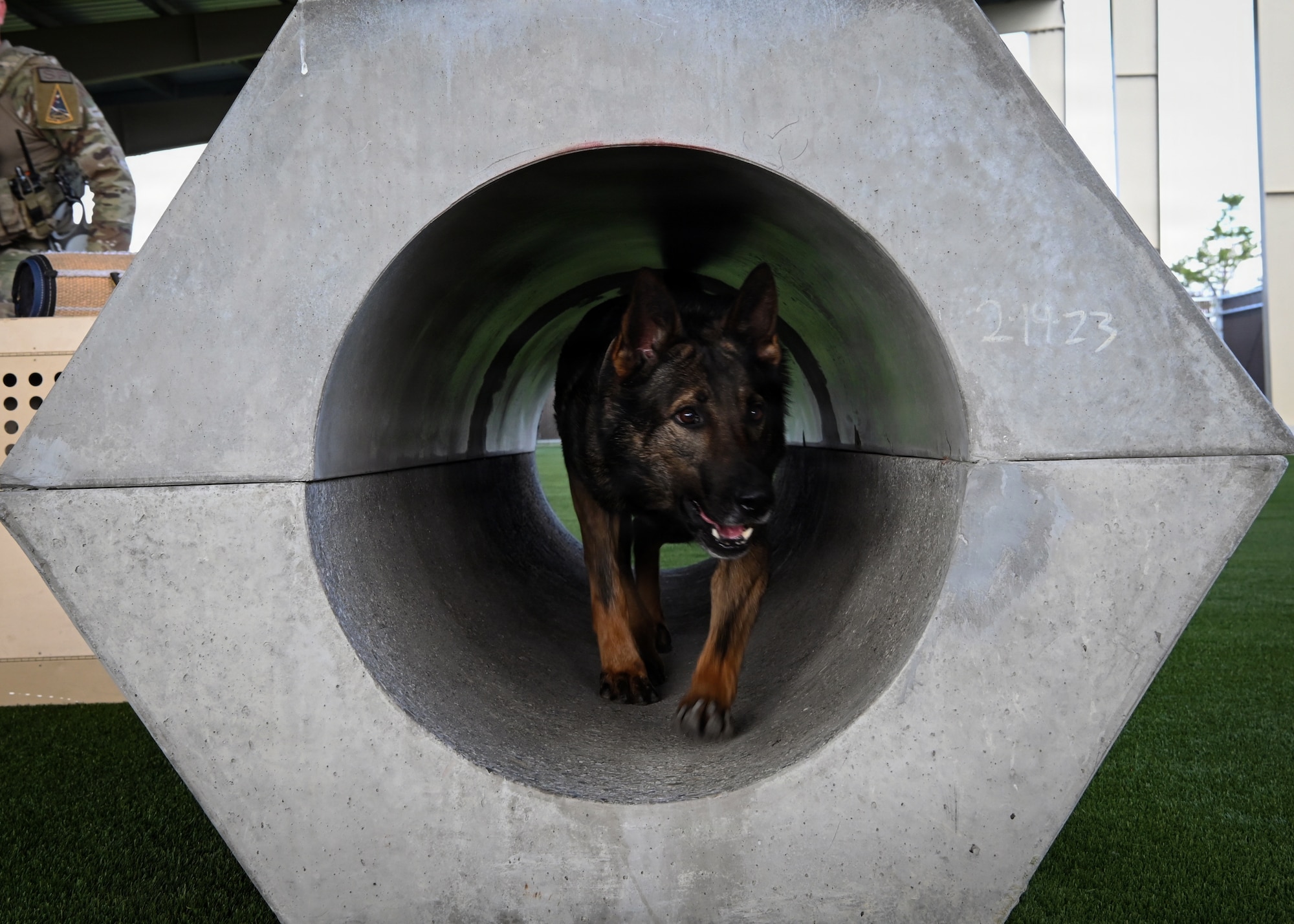 A Day in the Life of a Military Working Dog Team
