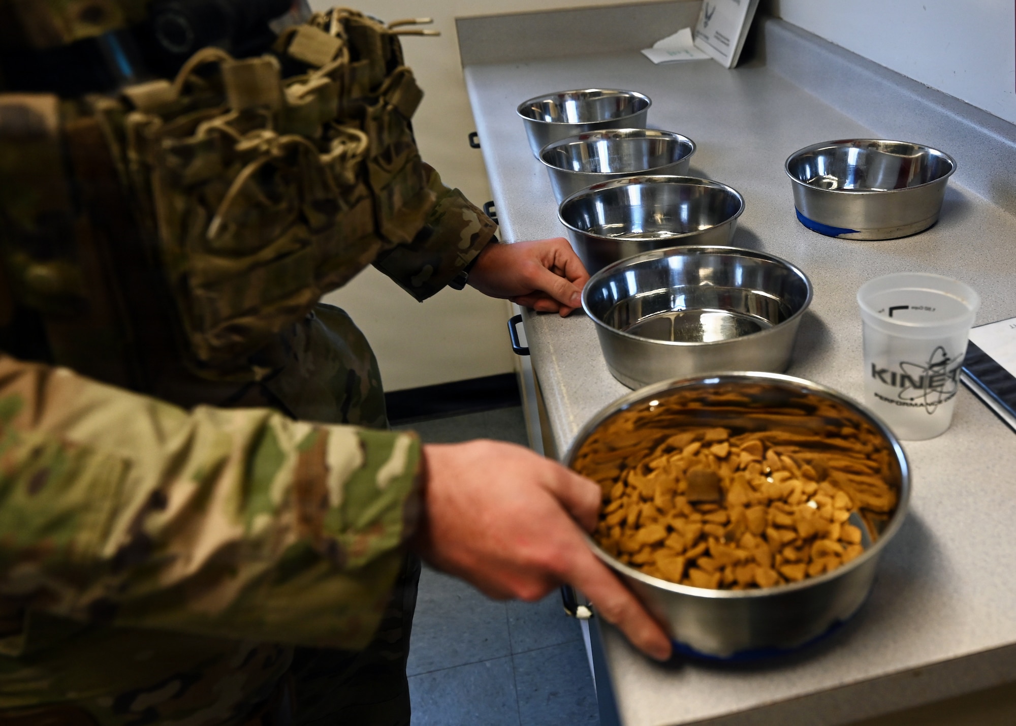 A Day in the Life of a Military Working Dog Team