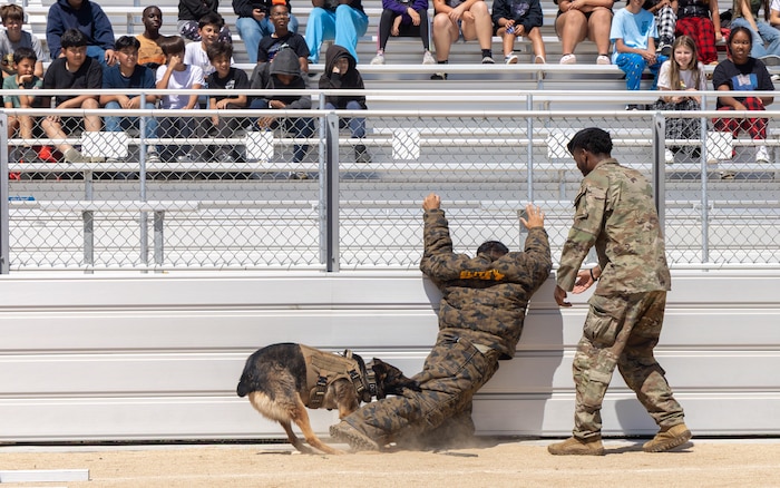 Airmen from the 412th Security Forces Squadron provide a military working dog demonstration for school children during Police Week 2026, at Edwards Air Force Base, California, May 12, 2026. (Air Force photo by Lindsey Gordon)