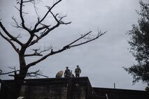 U.S. Marines with 7th Communication Battalion, III Marine Expeditionary Force Information Group, set up a Marine Corps wideband satellite-expeditionary system during Kaiju Rain 26 at Camp Hansen, Okinawa, Japan, May 9, 2026.