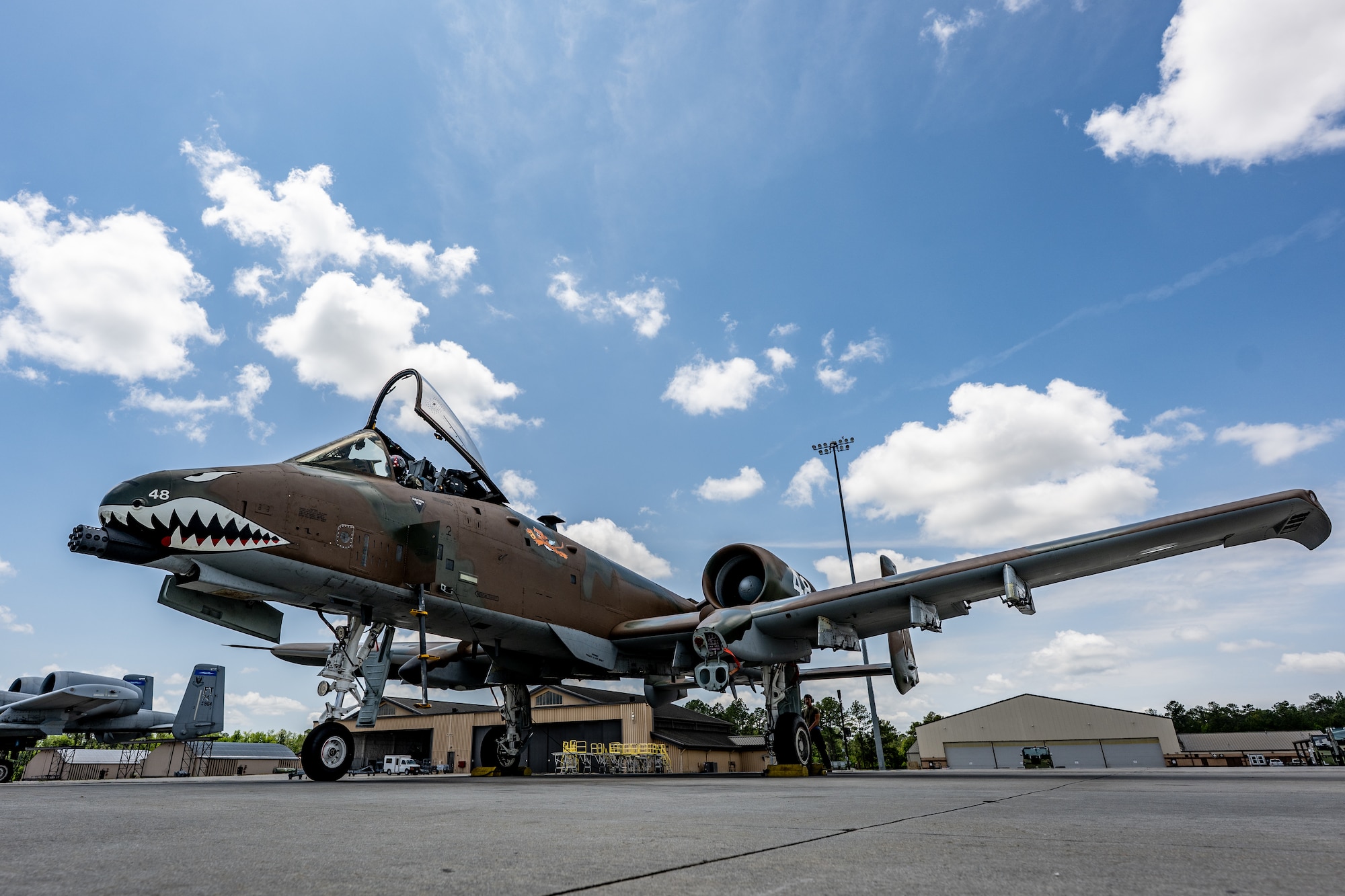 Airmen from the 23d Maintenance Squadron completed the heritage paint project in less than a month.