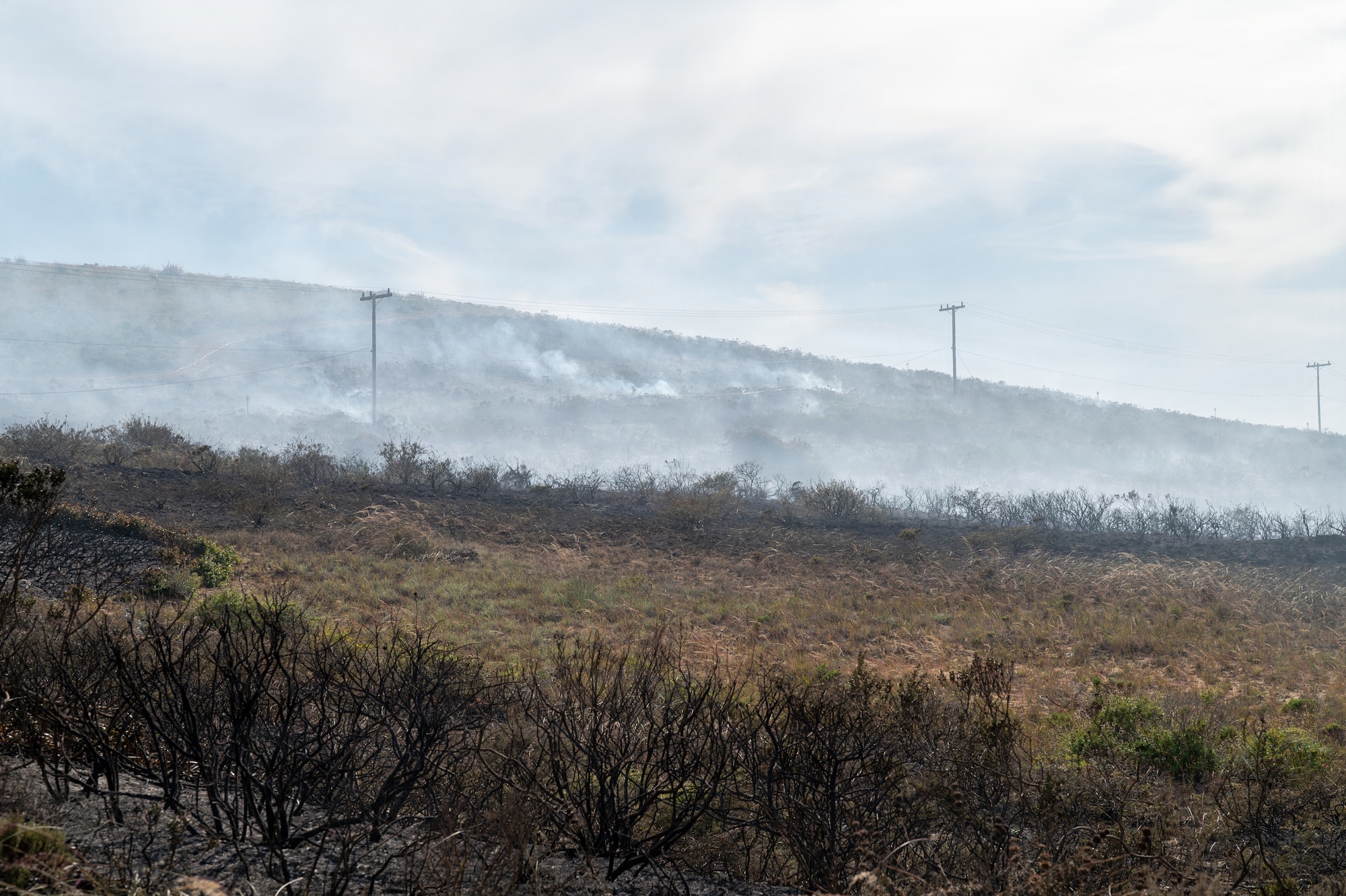 Bushes, grass, cell towers, and smoke.
