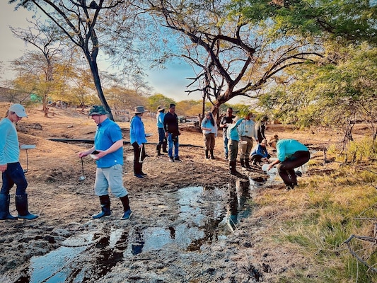 TUMBES, Peru (Aug. 5, 2026) Students with the Military Tropical Medicine (MTM) Field Mission perform mosquito larvae collection, looking for Anopheles spp. in a creek bed of a local farm. The MTM program advances strategic objectives by training and equipping military medical providers to deliver high-quality care in austere environments. NAMRU SOUTH, part of Navy Medicine Research & Development, conducts research, surveillance and studies of vaccines, therapeutic agents, diagnostic assays and vector control measures in the SOUTHCOM Area of Responsibility to better prevent and treat infectious diseases in support of Navy, Marine Corps and joint U.S. warfighter health, readiness and lethality. Navy Medicine’s 44,000+ talented and ready forces optimize health readiness, deliver quality healthcare, and provide global expeditionary medical support to warfighters. (U.S. Navy Photo by Lt. Cmdr. Jeffrey Spiro/ Released)