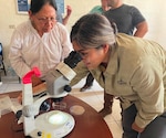 TUMBES, Peru (Aug. 5, 2026) Carmen Flores, an entomologist with NAMRU SOUTH, teaches Lt. Jenniffer Katekintha, a U.S. Navy nurse, how to examine vector samples with a macroscope as part of the annual Military Tropical Medicine (MTM) Field Mission. The MTM program advances strategic objectives by training and equipping military medical providers to deliver high-quality care in austere environments. NAMRU SOUTH, part of Navy Medicine Research & Development, conducts research, surveillance and studies of vaccines, therapeutic agents, diagnostic assays and vector control measures in the SOUTHCOM Area of Responsibility to better prevent and treat infectious diseases in support of Navy, Marine Corps and joint U.S. warfighter health, readiness and lethality. Navy Medicine’s 44,000+ talented and ready forces optimize health readiness, deliver quality healthcare, and provide global expeditionary medical support to warfighters. (U.S. Navy Photo by Lt. Cmdr. Jeffrey Spiro/ Released)