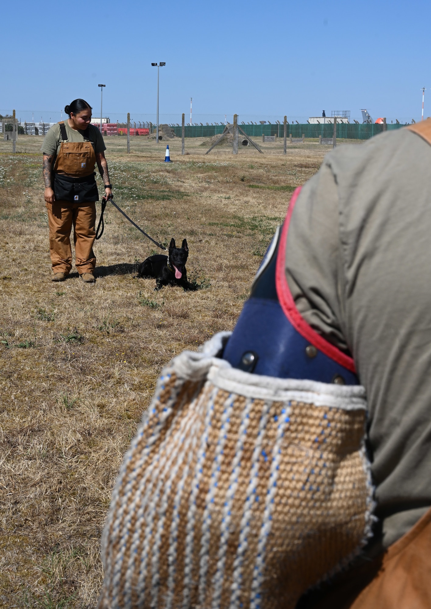 U.S. Air Force Senior Airman Karina Flores, left, 100th Security Forces Squadron Military Working Dog handler, holds on to MWD Mmoab as he keeps a watchful eye on decoy, Senior Airman Benjamin Campbell, 100th SFS MWD handler, during a training session at RAF Mildenhall, England, Aug. 13, 2026. Mmoab is a Puppy Program dog – shown by the double-letter designation in his name. He is only the fourth Puppy Program MWD that has been assigned to RAF Mildenhall. (U.S. Air Force photo by Karen Abeyasekere) w