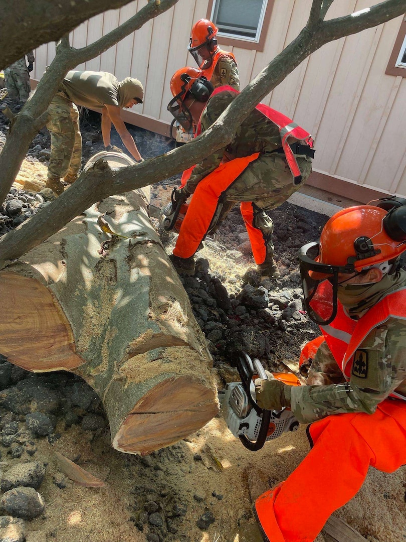 Hawaii National Guard Soldiers working in the Kau District to clean up neighborhoods and clear storm debris before the next storm arrives.