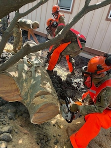 Hawaii National Guard Soldiers working in the Kau District to clean up neighborhoods and clear storm debris before the next storm arrives.