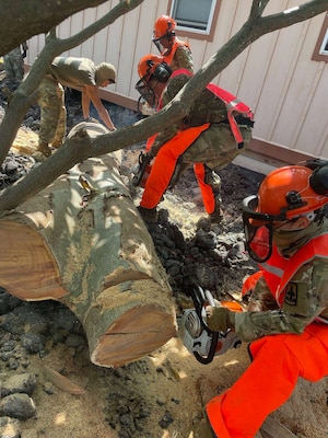 Hawaii National Guard Soldiers working in the Kau District to clean up neighborhoods and clear storm debris before the next storm arrives.
