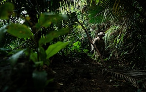 A technician searches for simulated unexploded ordnance.