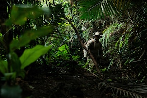 A man in camouflage military uniform walks through thick jungle brush as daylight peeks through the leaves.
