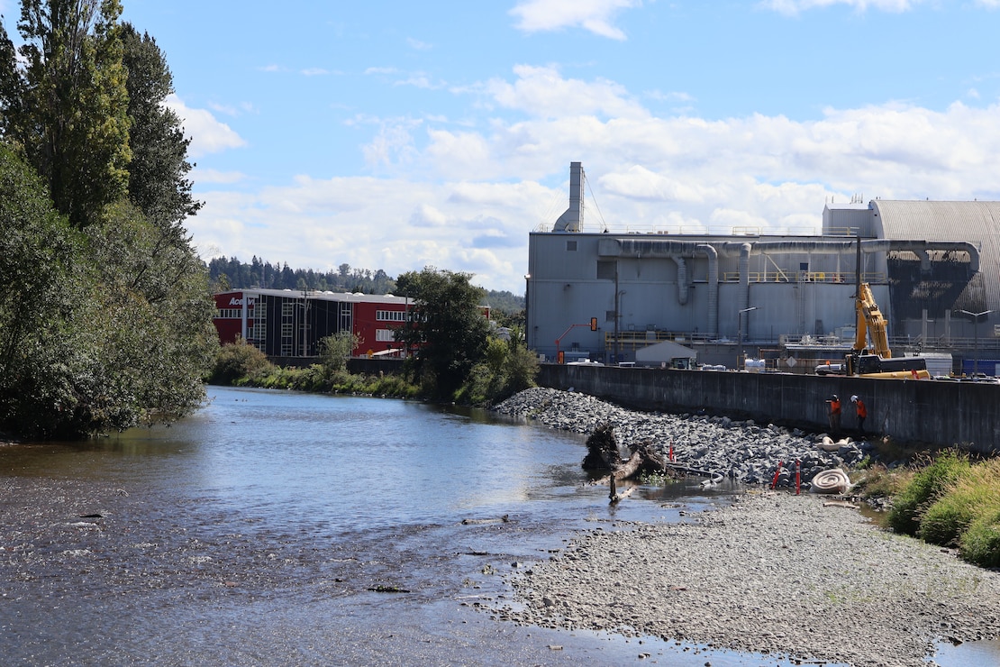 Photo of the left bank of the Cedar River Authorized levee in Renton, Washington.