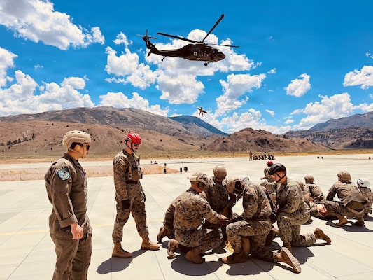 Navy hospital corpsmen and U.S. and allied nation service members participate in air medical evacuation familiarization training at the Marine Corps Mountain Warfare Training Center in Bridgeport, California, July 15, 2026. The training provided participants hands-on experience with helicopter casualty loading and hoisting procedures in a high-altitude environment. (Courtesy photo).