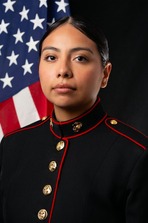 Official Portrait of PFC Lisa Dominguez