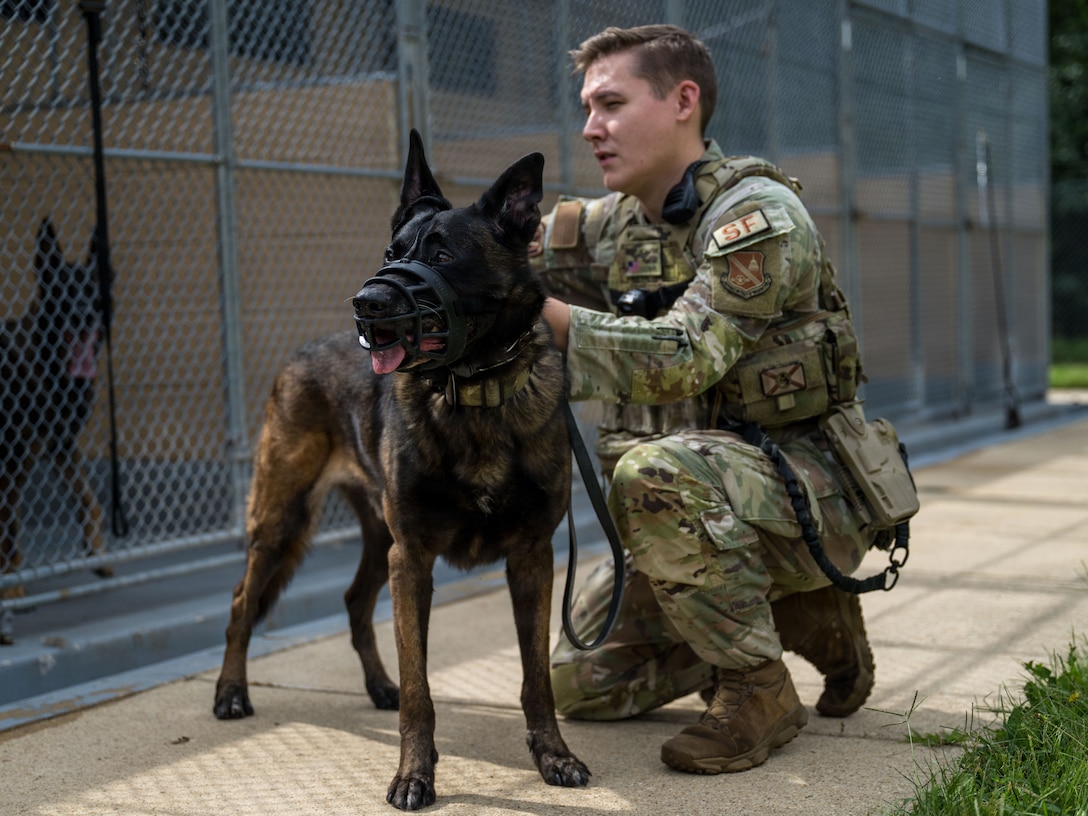 Austin McAlpine, a military working dog handler assigned to the 316th Security Support Squadron, and MWD Lucky, a military working dog assigned to the 316th Security Support Squadron, get ready for a canine readiness day.