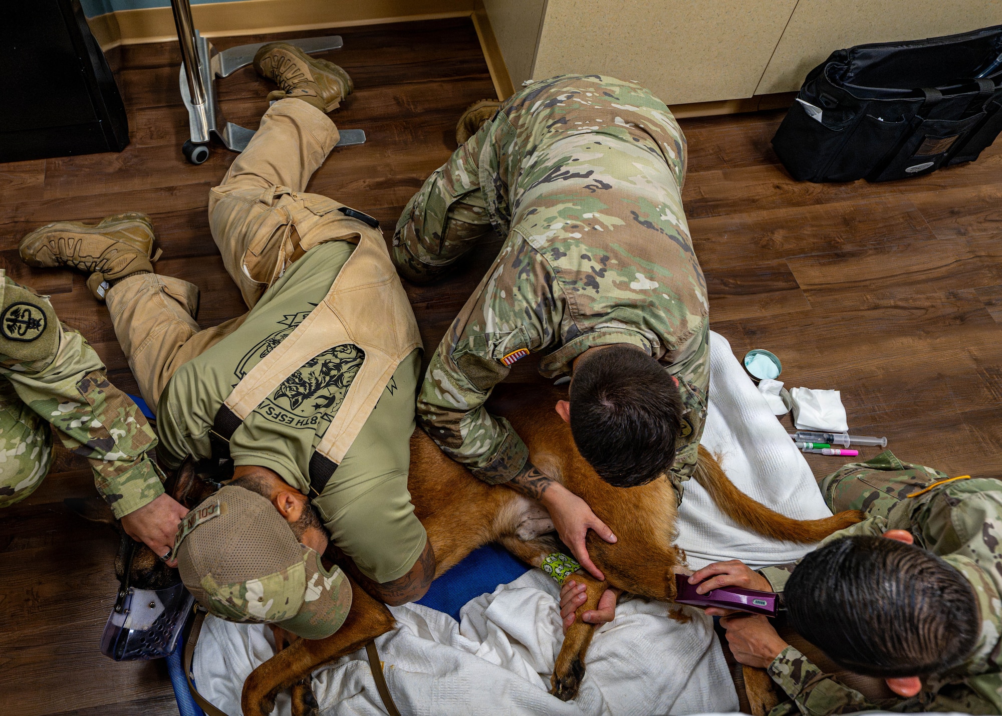 U.S. Army and Air Force personnel prepare Eelias, a 6th Security Forces Squadron military working dog, for a computed tomography scan at MacDill Air Force Base, Florida, Aug. 31, 2026. The collaboration between the MacDill Veterinary Clinic and the 6th Medical Group enables personnel to leverage local medical capabilities while supporting timely care for military working dogs. (U.S. Air Force photo by Senior Airman Monique Stober)