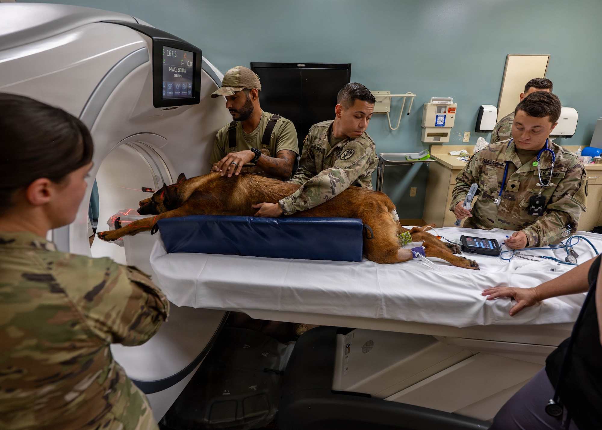 Eelias, a 6th Security Forces Squadron military working dog, undergoes a computed tomography scan at MacDill Air Force Base, Florida, Aug. 31, 2026. The scan will provide veterinarians with information needed to determine the most appropriate course of treatment and whether Eelias can return to duty. (U.S. Air Force photo by Senior Airman Monique Stober)