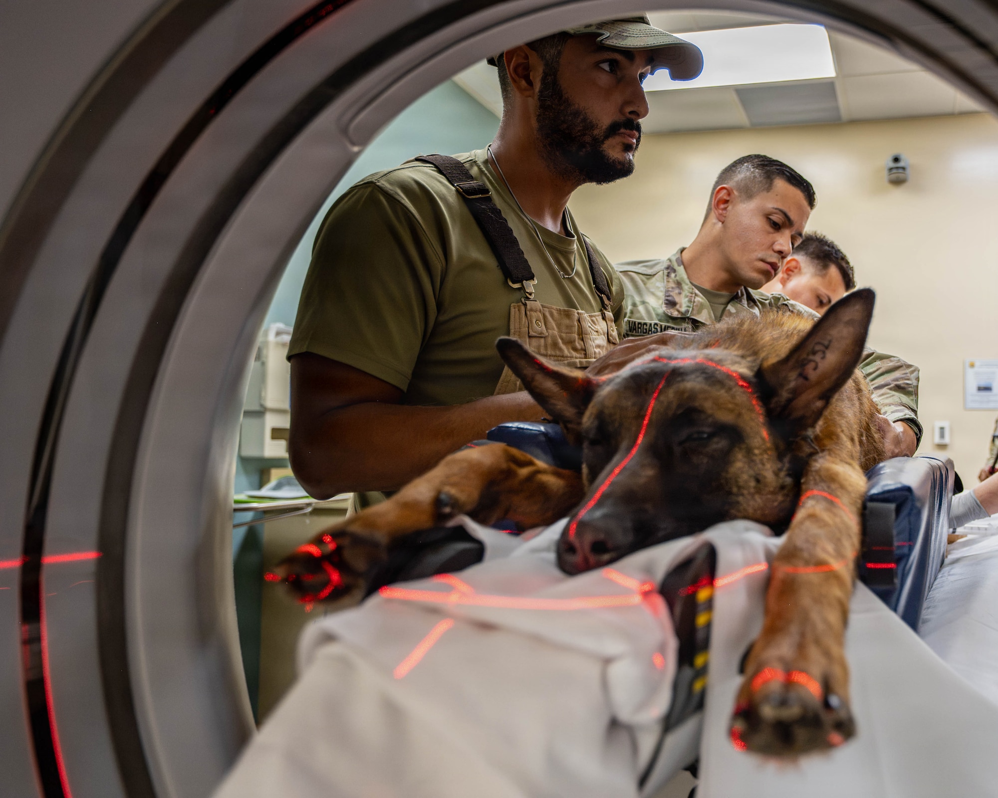 Eelias, a 6th Security Forces Squadron military working dog, undergoes a computed tomography scan at MacDill Air Force Base, Florida, Aug. 31, 2026. The MacDill Veterinary Clinic partnered with the 6th Medical Group to provide diagnostic imaging locally and support timely medical care for Eelias. (U.S. Air Force photo by Senior Airman Monique Stober)