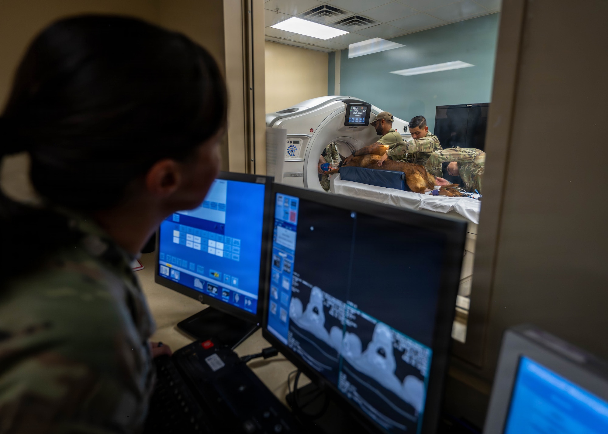 U.S. Air Force Staff Sgt. Alexis Navas, 6th Medical Group non-commissioned officer in charge of computed tomography technology, operates CT equipment during a scan of Eelias, a 6th Security Forces Squadron military working dog, at MacDill Air Force Base, Florida, Aug. 31, 2026. The procedure brought Army and Air Force personnel together to share medical capabilities and expertise in support of military working dog health and mission readiness. (U.S. Air Force photo by Senior Airman Monique Stober)