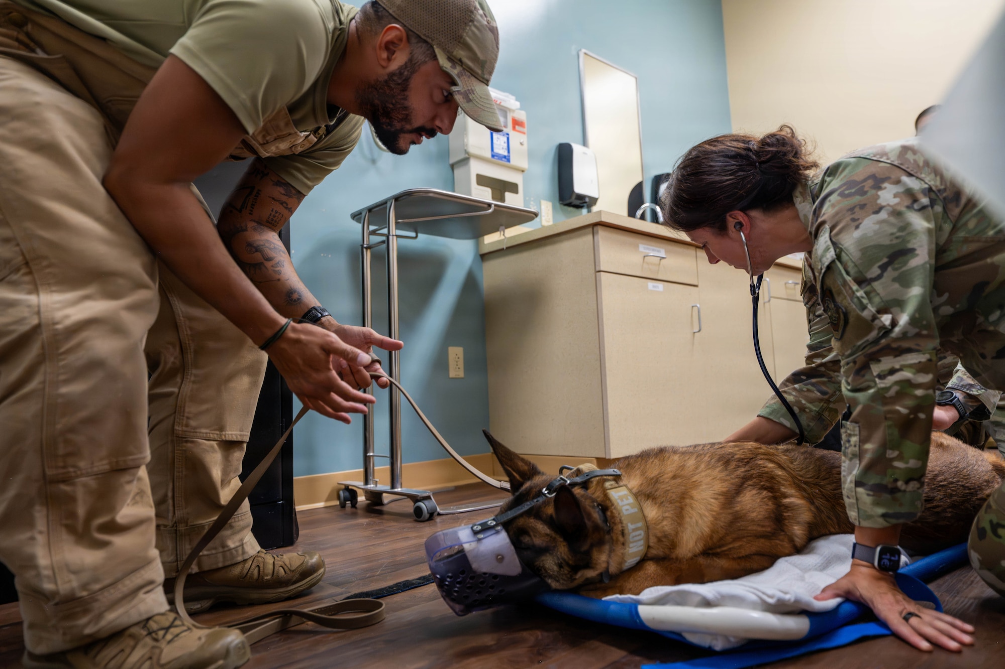 U.S. Air Force Col. Elizabeth Hoettels, 6th Medical Group Commander, tends to Eelias, a 6th Security Forces Squadron military working dog, before a computed tomography scan at MacDill Air Force Base, Florida, Aug. 31, 2026. The MacDill Veterinary Clinic partnered with the 6th Medical Group to provide diagnostic imaging locally and support timely medical care for Eelias. (U.S. Air Force photo by Senior Airman Monique Stober)