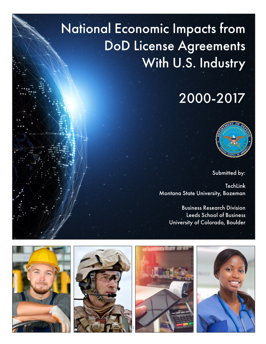  DOD-LICENSING-STUDY-2017.PDF