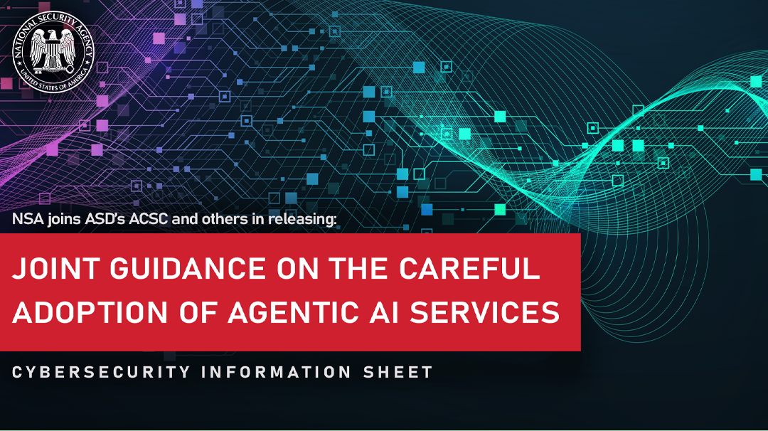  Joint CSI: Careful Adoption of Agentic AI Services